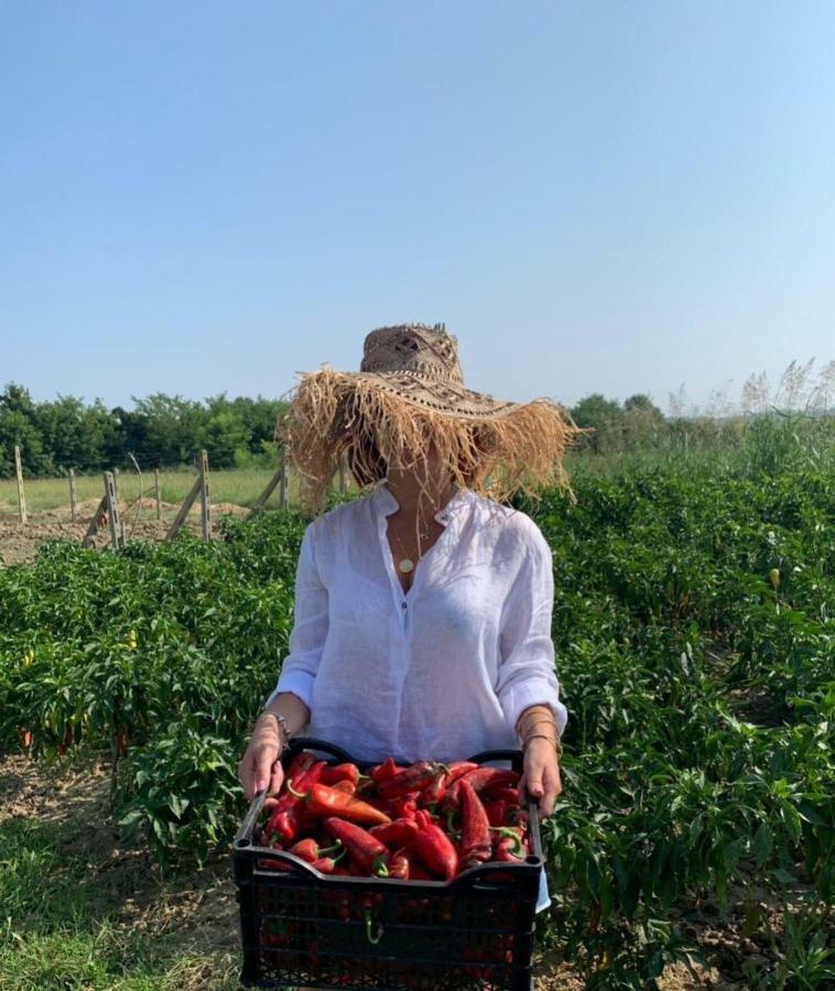 Hotel Agroturizem Gjepali Shijak Zewnętrze zdjęcie